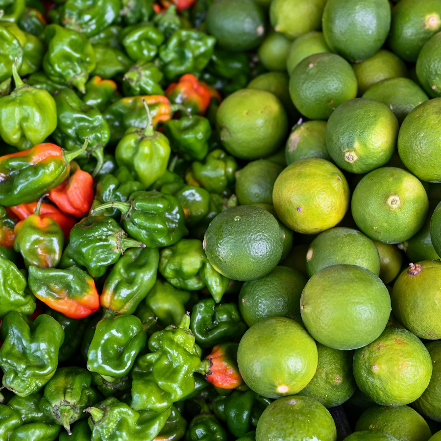 މާރުކޭޓް ގޮޅިއެއްގައި ވިއްކަން ހުރި މިރުސް އަދި ލުނބޯތަކެއް: ލުނބޯ ކިލޯއެއް 65ރ. ލިބެން ހުރިއިރު މިރުސް އުޅެނީ 230ރ. އަށް ކިލޯއެއް -- ފޮޓޯ: ފަޔާޒު މޫސާ | މިހާރު