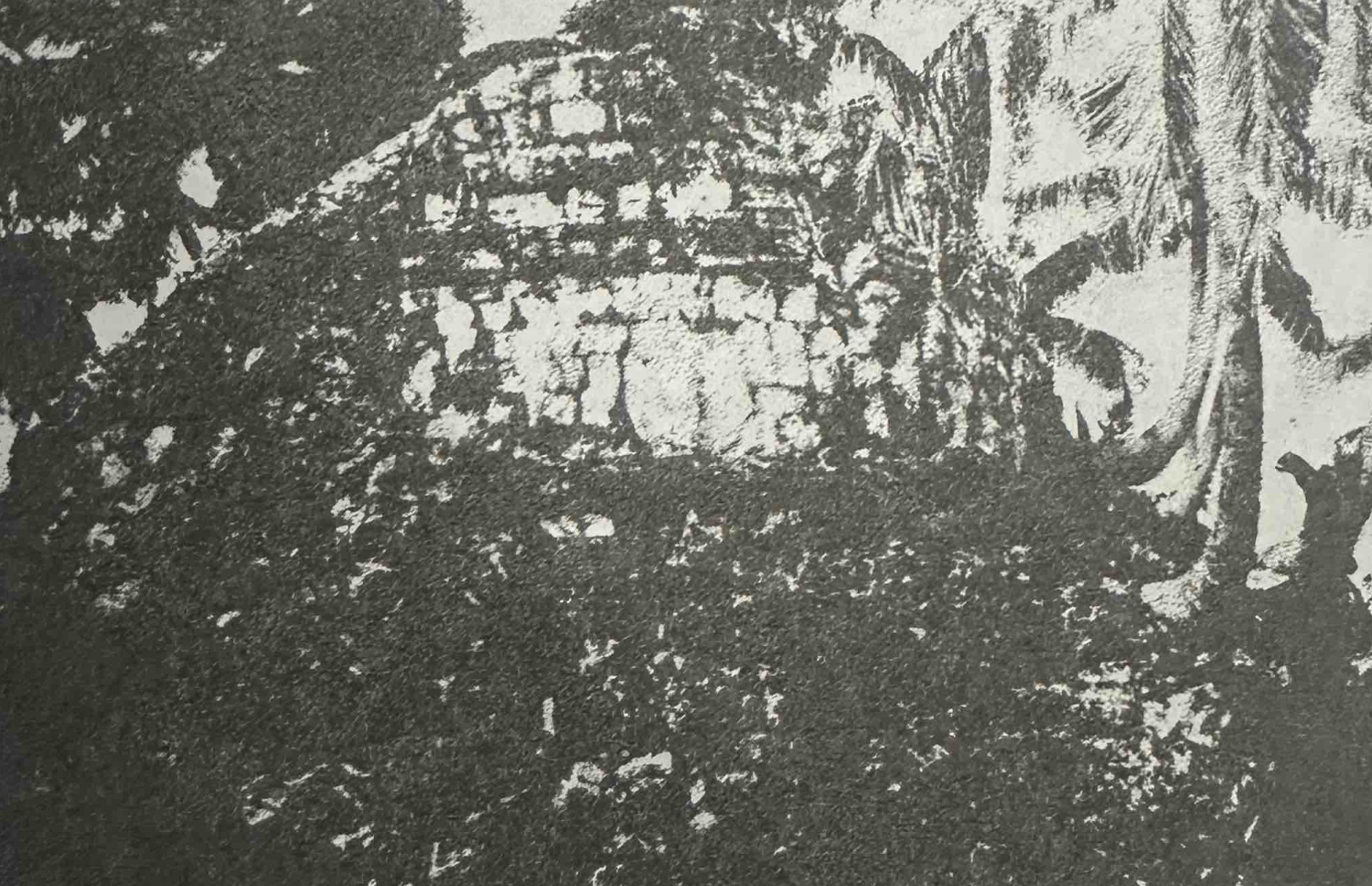 ބެލްގެ ފޮތުގައި ޖަހާފައިވާ ފުވައްމުލަކު ހަވިއްތައިގެ ފޮޓޯއެއް.