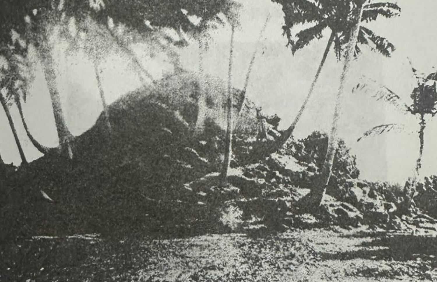 ބެލްގެ ފޮތުގައި ޖަހާފައިވާ ފުވައްމުލަކު ހަވިއްތައިގެ ފޮޓޯއެއް.