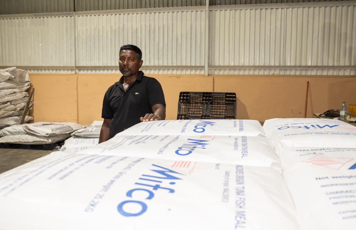 ފެލިވަރުގެ މަސް ކާރުހާނާ އަށް ނުނަގާ މަހުގެ ބާވަތްތަކުން ތައްޔާރު ކޮށްފައިވާ އުފެއްދުންތައް ކައިރީގައި ޣަނީ މަޑުކޮށްލައިގެން.---ފޮޓޯ: ނިޝާން އަލީ| މިހާރު