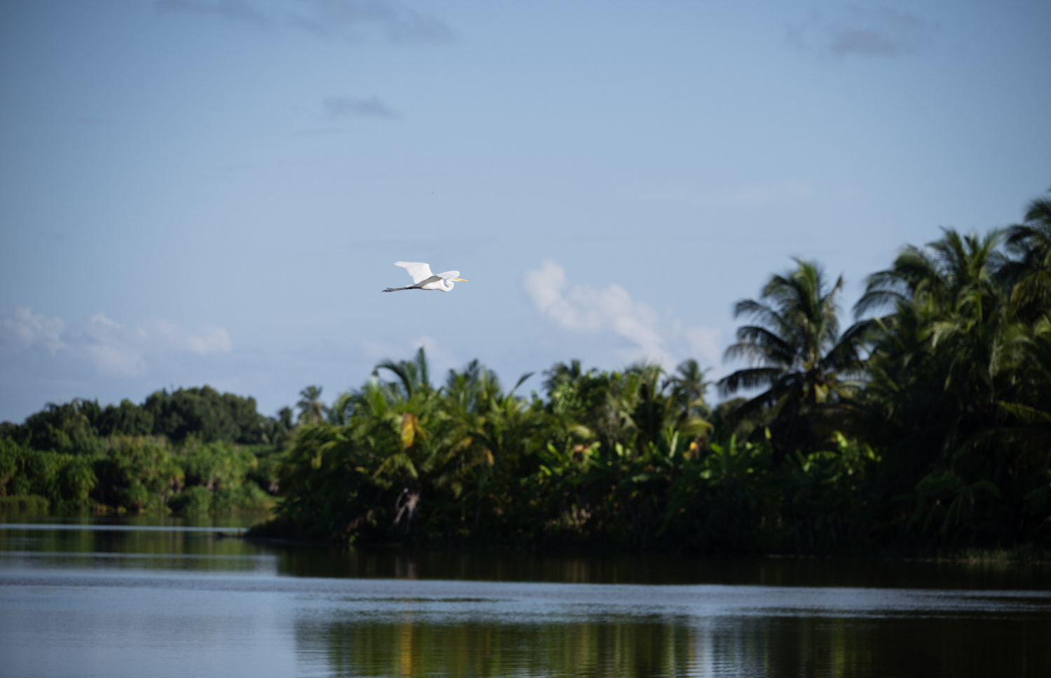 ފުވައްމުލަކު ބަންޑާރަ ކިޅި: މިއީ ރާއްޖޭގެ އެންމެ ބޮޑު ކިޅި.-- ފޮޓޯ: ނިޝާން އަލީ | މިހާރު