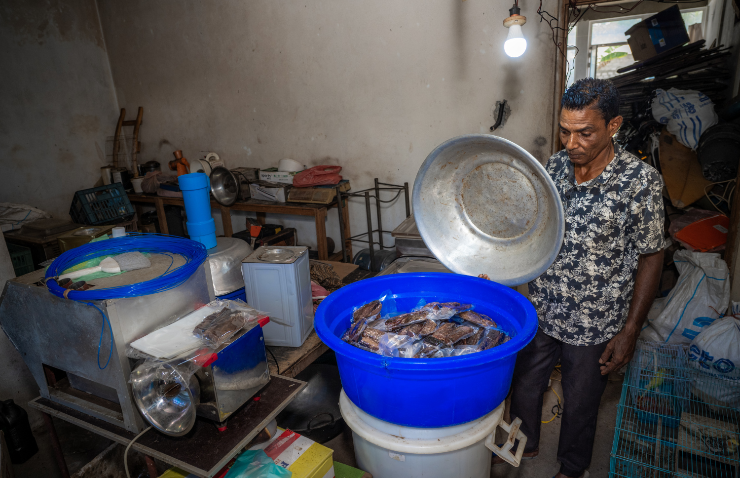 ބުޝްރީބެގެ ގޭގައި ހިންގާ "މަސް ފެކްޓަރީ" ގައި ބަންދުކޮށްފައިވާ ވަޅޯމަސްތަކެއް އޭނާގެ މުވައްޒަފަކު ދައްކާލަނީ.---ފޮޓޯ: ނިޝާން އަލީ| މިހާރު