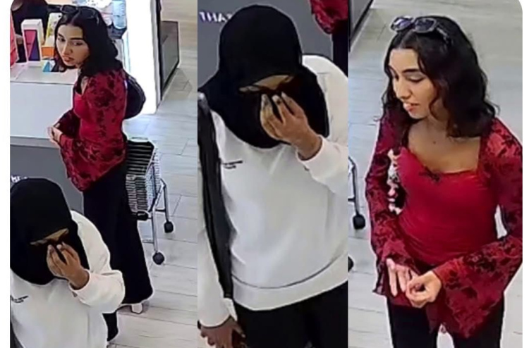 Fake slip fonuvaigen New Edition in 8,700 Rufiyage viyafaarikuri 2 anahenun hoadhanee