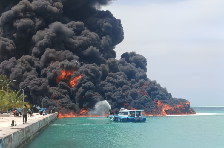 Feealeege alifaangandu control vi iru 3 dhoanyaai Ice plant alhiah