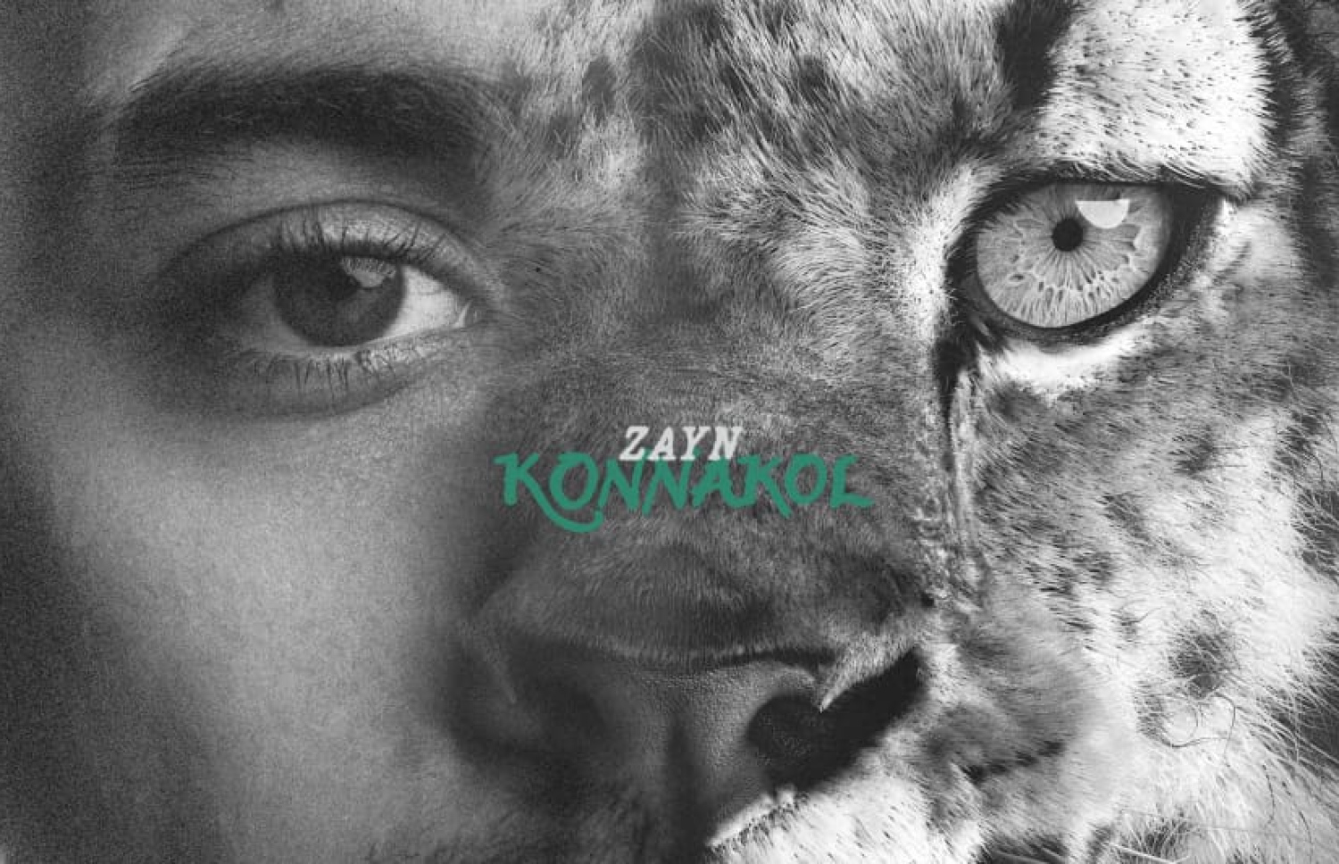 ޒޭން މާލިކްގެ އާ މިއުޒިކް އަލްބަމް ނެރެފި