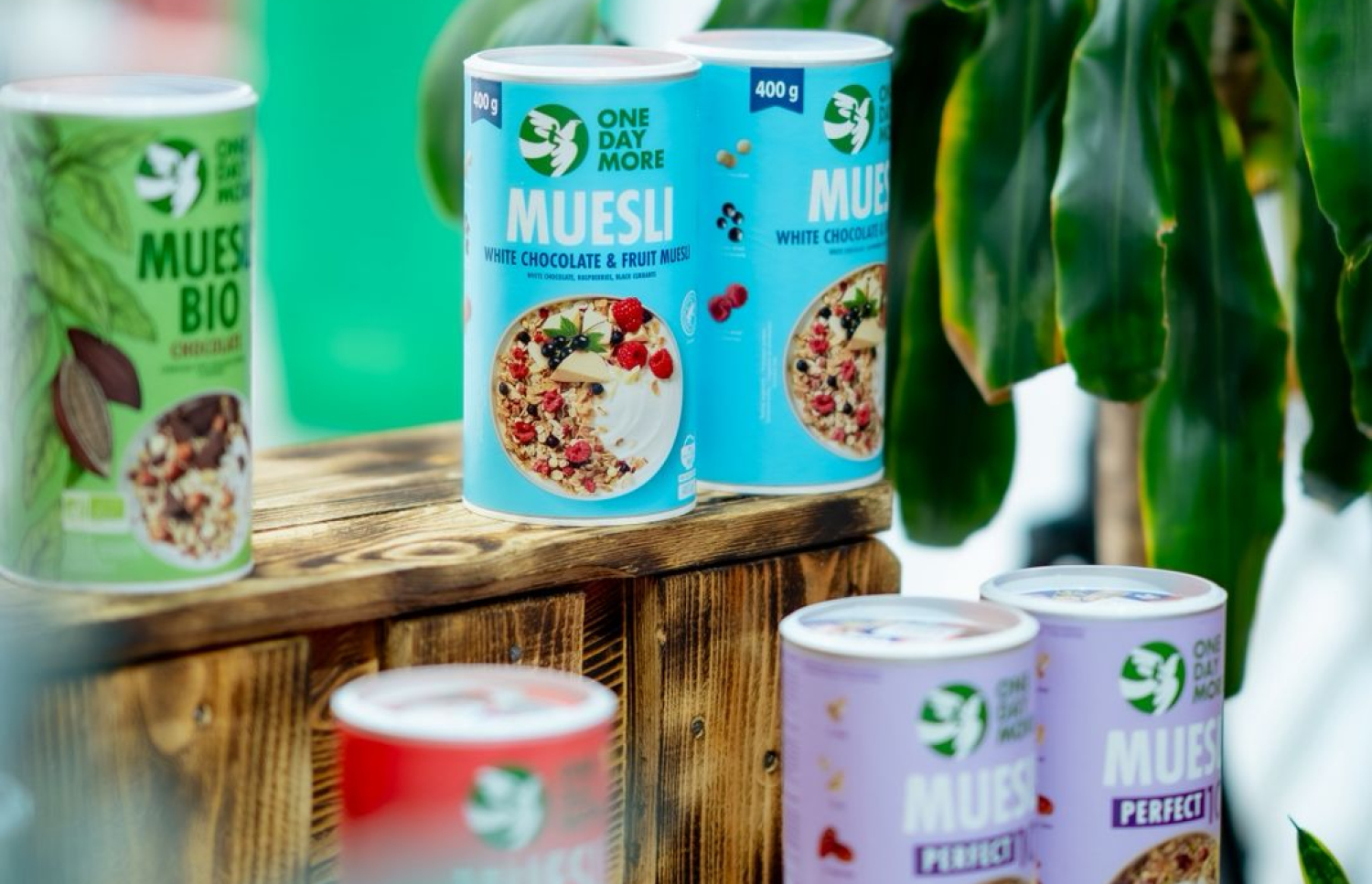 އެސްޓީއޯއިން ތައާރަފްކުރި "ވަން ޑޭ މޯ" ގެ ޕްރޮޑަކްޓްތައް --- ފޮޓޯ/އެސްޓީއޯ