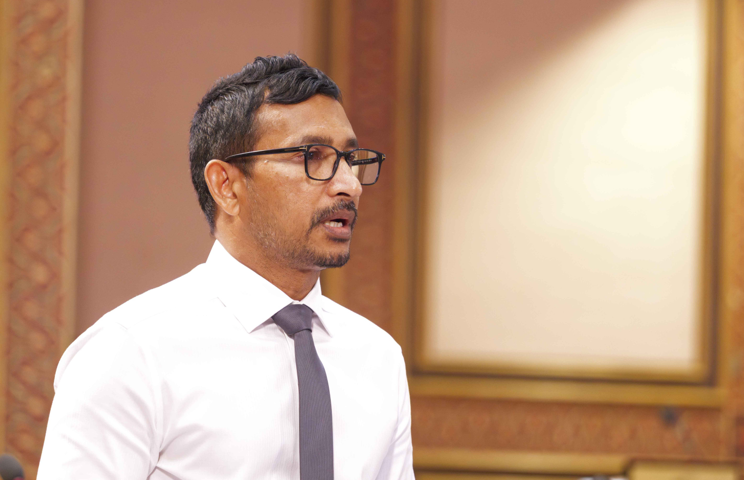 މެމްބަރު ފަލާހް މަޖިލީހުގައި ވާހަކަ ދައްކަވަނީ --- ފޮޓޯ/މަޖިލިސް