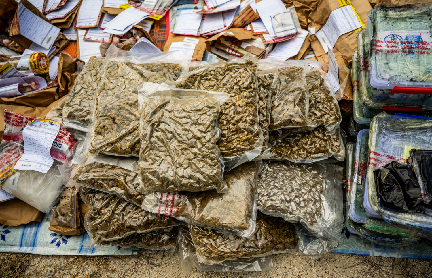 ފުލުހުންގެ ބެލުމުގެ ދަށުގައި ހުރި ޑްރަގްސް ނައްތާލަން ތައްޔާރުކޮށްފައި.-- ފޮޓޯ: ނިޝާން އަލީ | މިހާރު