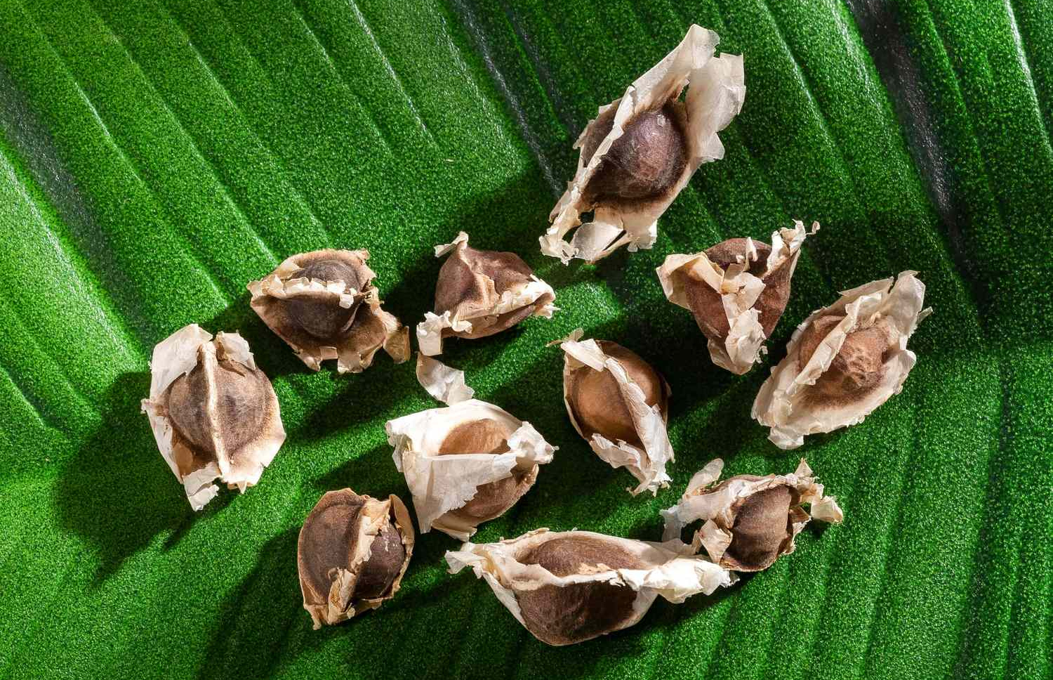 މުރަނގަ އޮށް: މުރަނގަ އޮށުން ފެނުގައި ހުންނަ މައިކްރޯޕްލާސްޓިކް ސާފުކުރެވޭކަން ވަނީ ހާމަވެފައި.