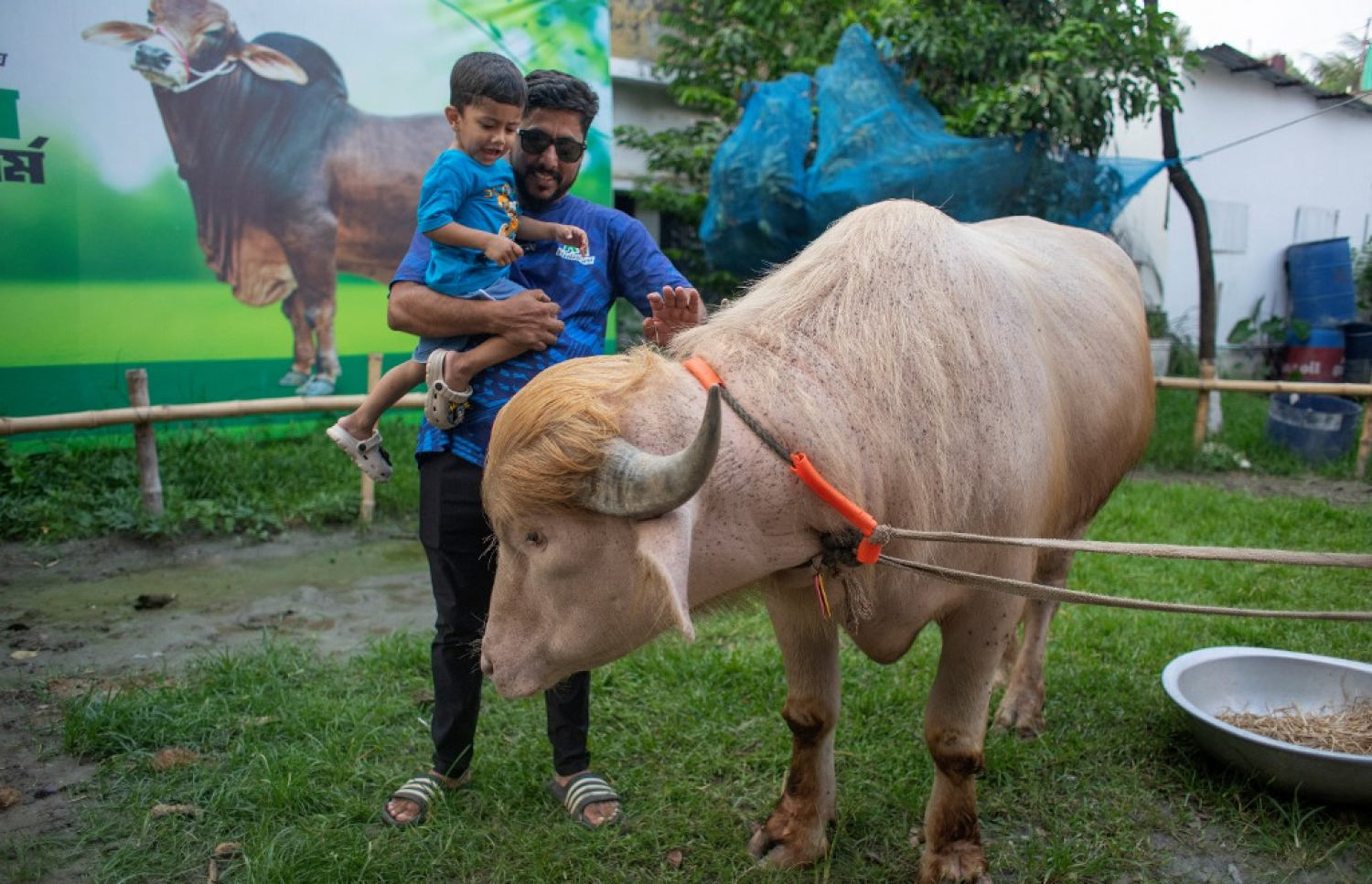 އެމެރިކާގެ ރައީސް ޑޮނަލްޑް ޓްރަމްޕާ ވައްތަރު ކަމަށް ބުނާ މީގޮނަށް މަޝްހޫރުކަން ލިބި ގިނަ ބަޔަކު އެ ދެކަލަން ދިޔަ. -- ފޮޓޯ: އޭއެފްޕީ