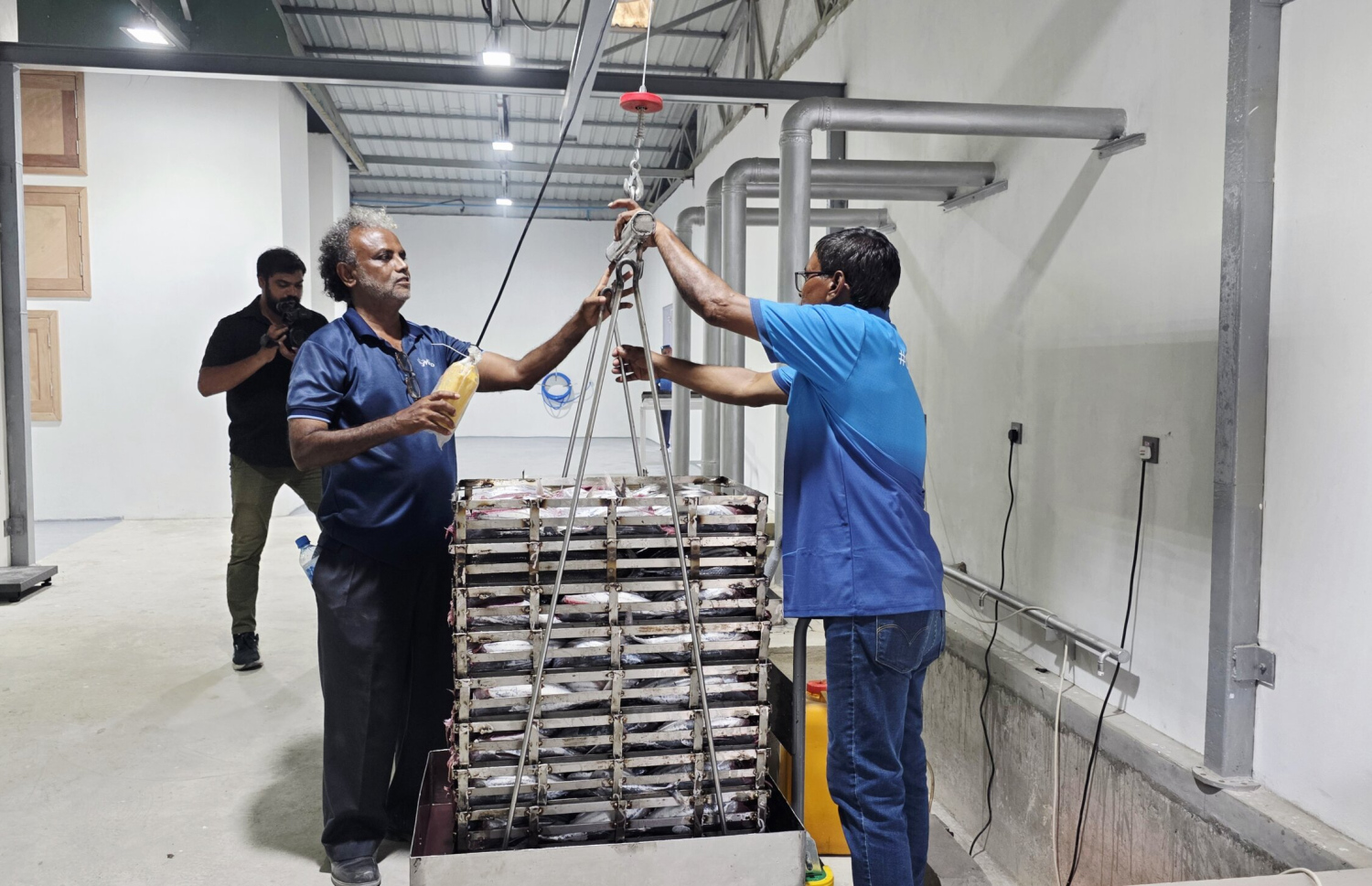 ކ. ކަނޑުއޮތްގިރީގައި ހުޅުވި މިފްކޯގެ ހިކިމަސް ކާރުހާނާގައި ބަޔަކު މަސައްކަތް ކުރަނީ.-- ފޮޓޯ: މިފްކޯ