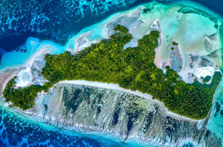 Addu ge ihthisaas in Savaaheli vaki koffi