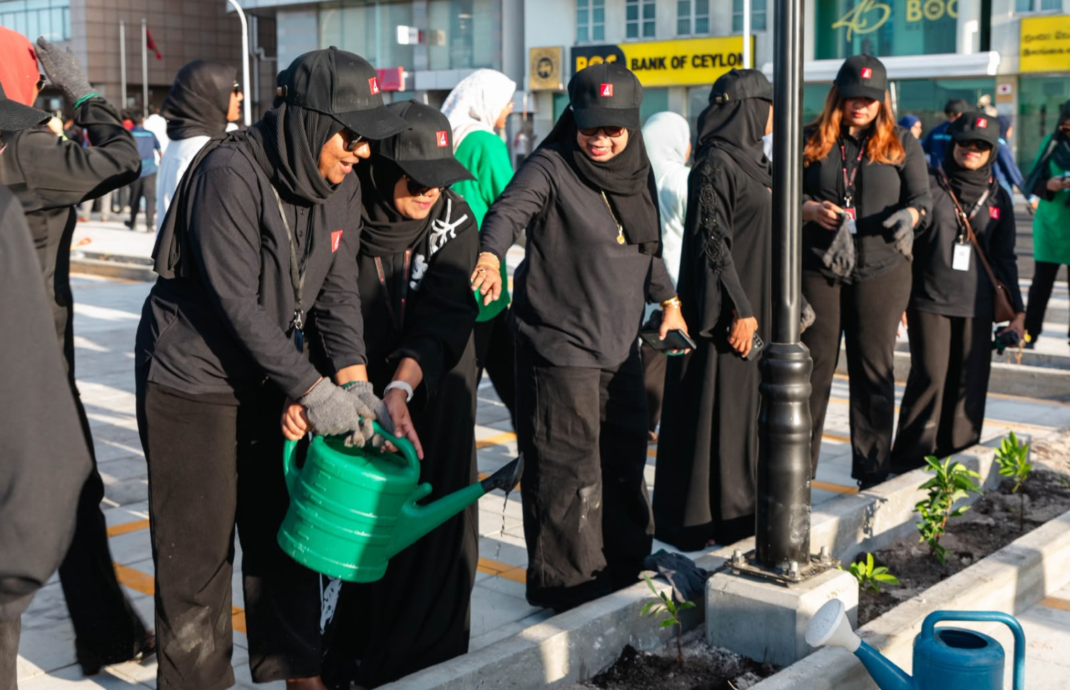 ބޮޑުތަކުރުފާނު މަގުން ޒަމާނީ ފެންވަރަށް އަލަށް ހެދި ބައިގައި ބީއެމްއެލްގެ މުވައްޒަފުން މިއަދު ގަސް އިންދަނީ.---ފޮޓޯ: ބީއެމްއެލް