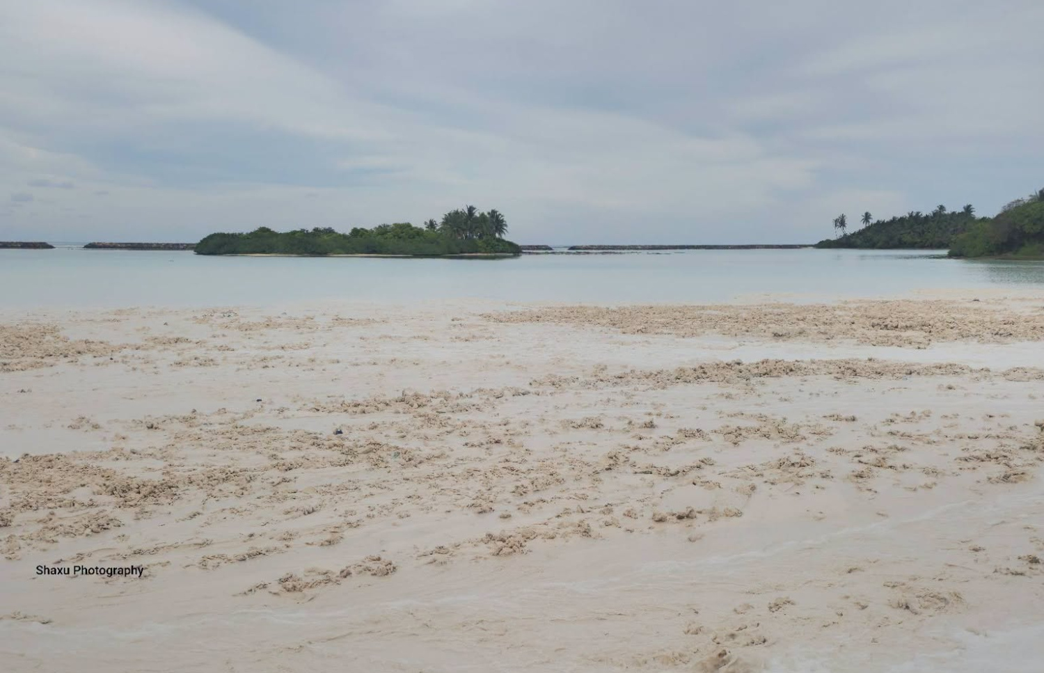 ގދ. ފަރެސްމާތޮޑާ ބިން ހިއްކުމުގެ މަސައްކަތް ފަށާފައި-- ފޮޓޯ: މަރިޔަމް ޝަޒްލާ / ފޭސްބުކް