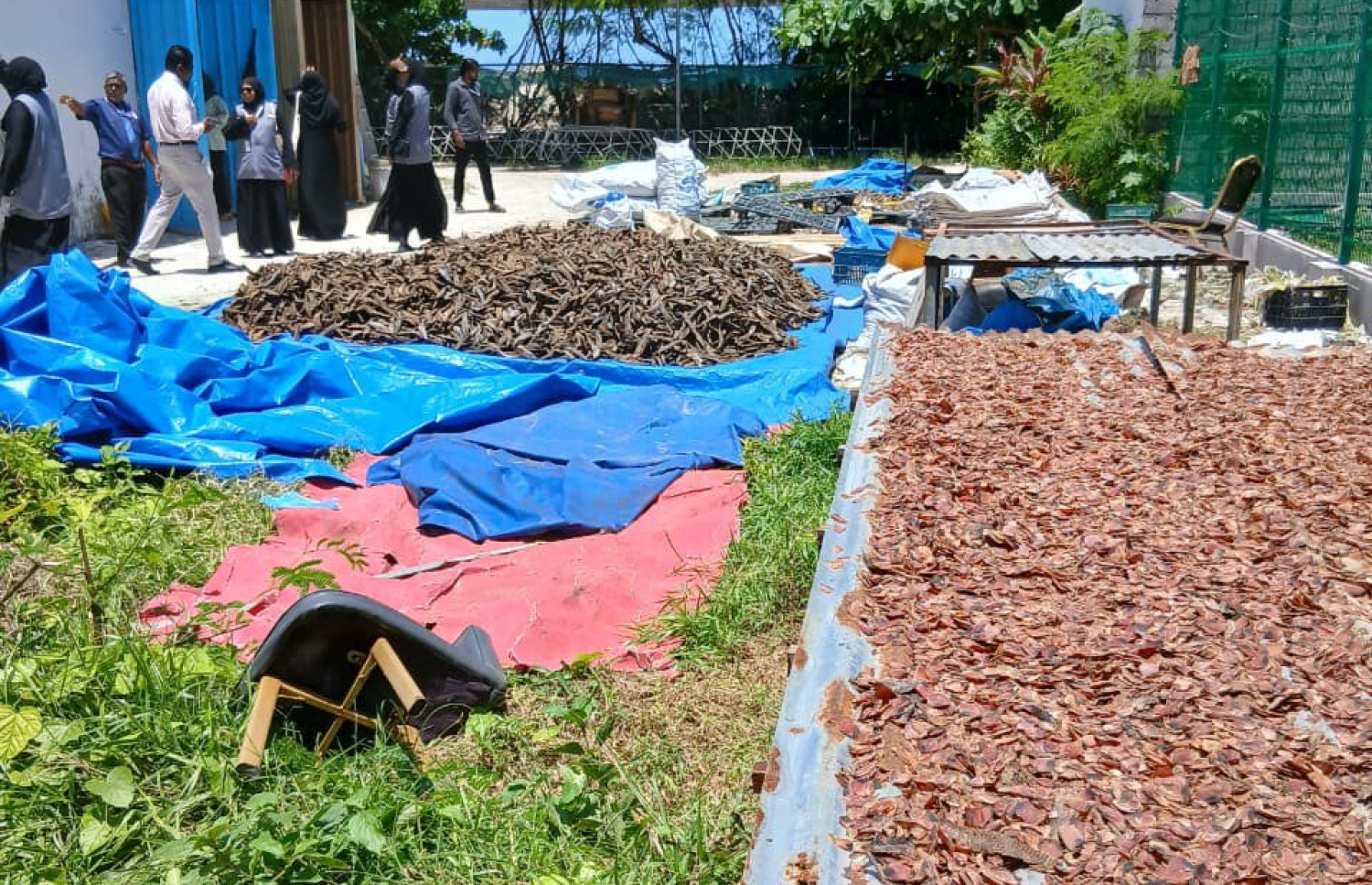 ބިންމަތީގައި ބަހައްޓާފައި ހުރި ޓިނުގަނޑެއް އަދި ސަތަރިގަނޑެއްގެ މަތީގައި ވަޅޯމަސް ހިއްކަން އަޅާފައި.-- ފޮޓޯ: މާލޭ ސިޓީ ކައުންސިލް