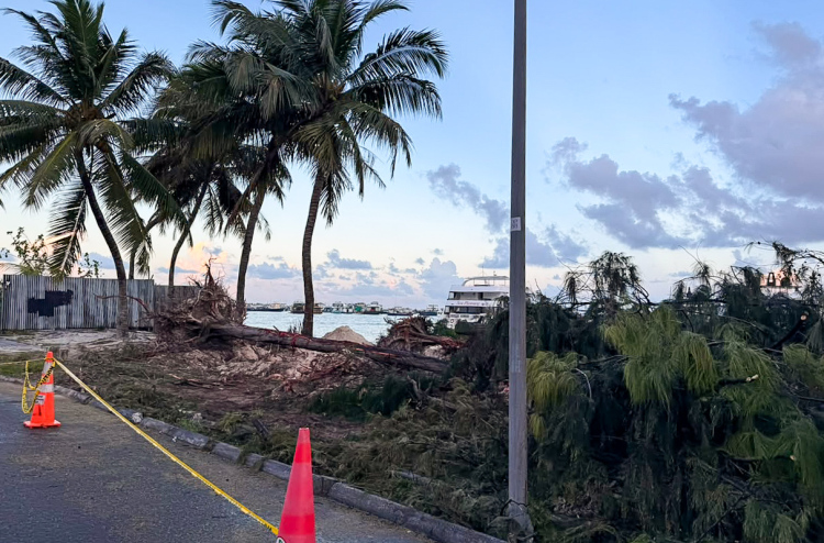 ފިތުރޯނުގަސްތައް ނަގަނީ މޫލައި، ދަތިތައް ދިމާވާތީ: އެޗްޑީސީ