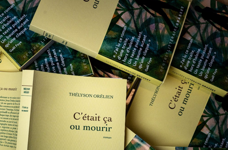 Top French literary prize drops best-selling novel over AI claims