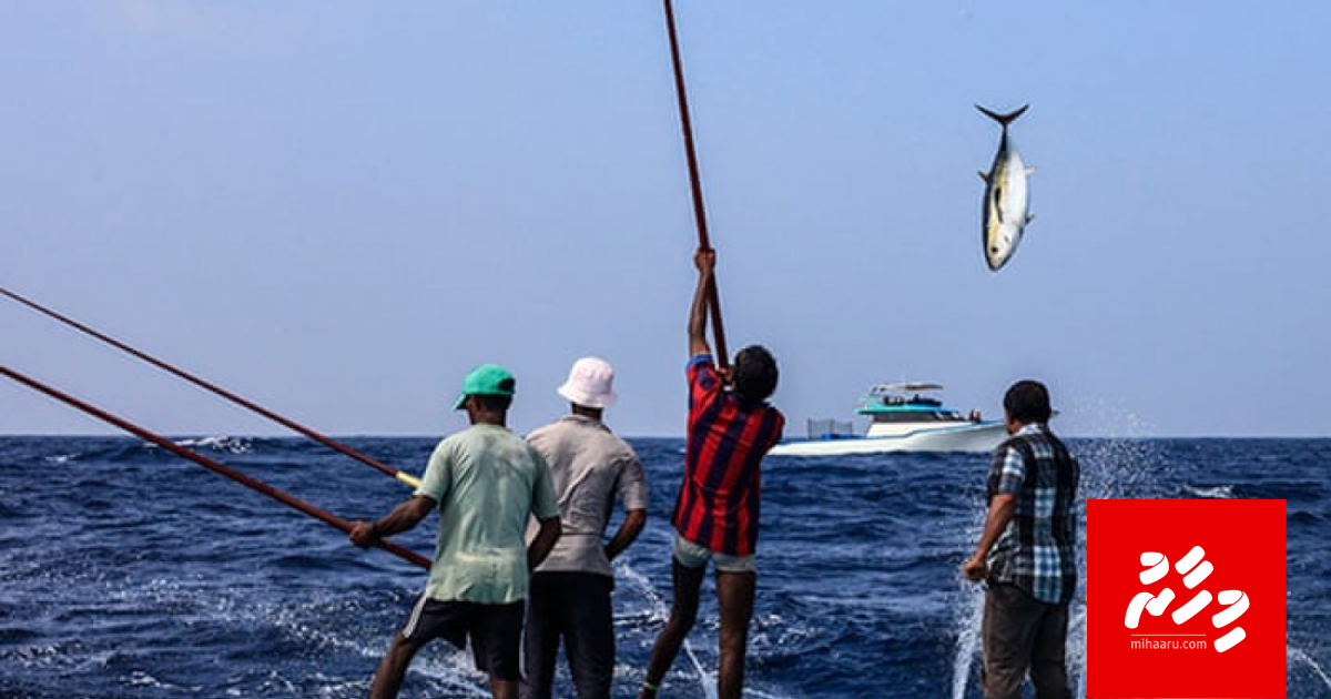 Raajjeyge kandu mahun duty kuda kuran UK in beynumeh nuvi