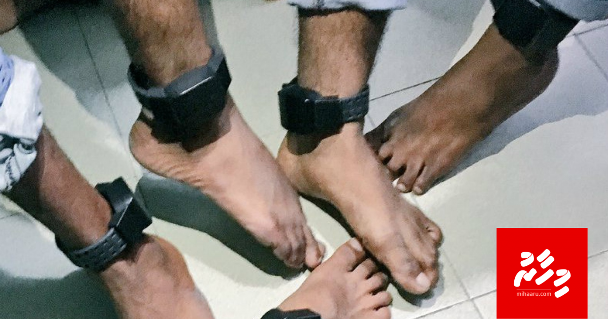 ކުށްވެރިންގެ ފައިގައި އަލުން ޓެގު އަޅުވަން ފަށައިފި