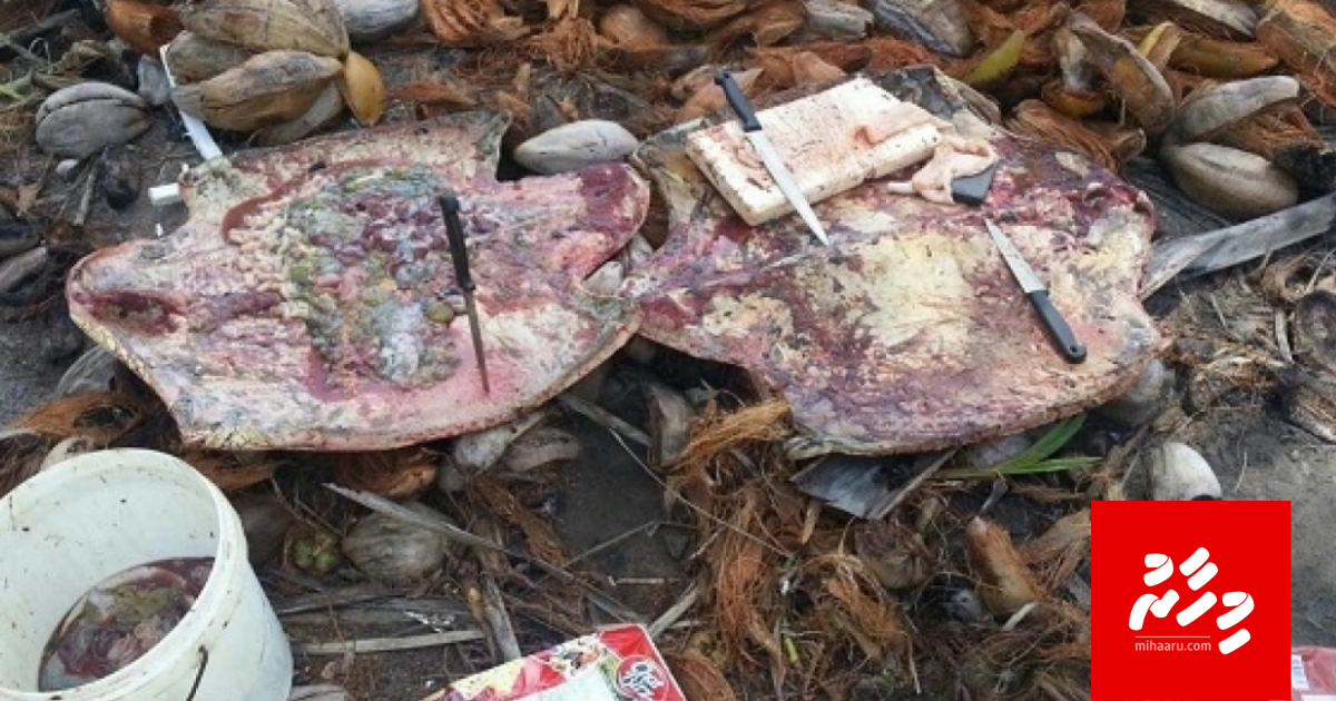 B. Keydhoo gai velaa felhi meehunge joorimanaa 33,000 rufiya ah kuda koh dheefi