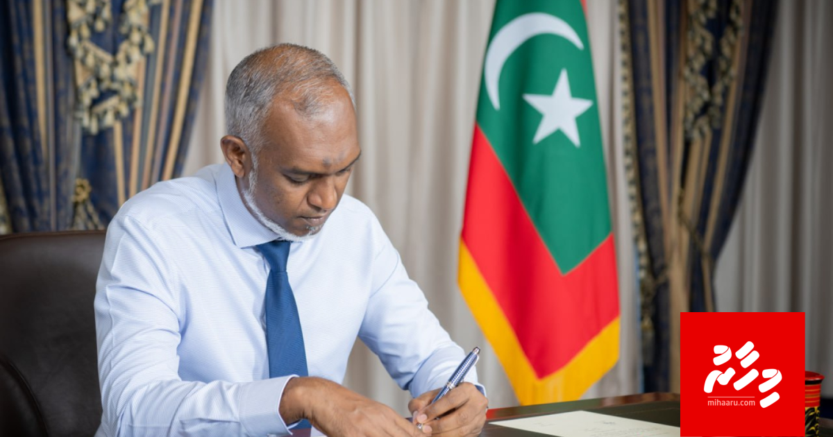 15 aharu hingaafaivaa college thah university akah badhalu kurevey gothah hadhaifi